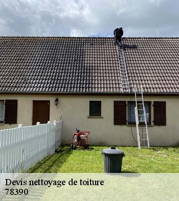 Devis nettoyage de toiture